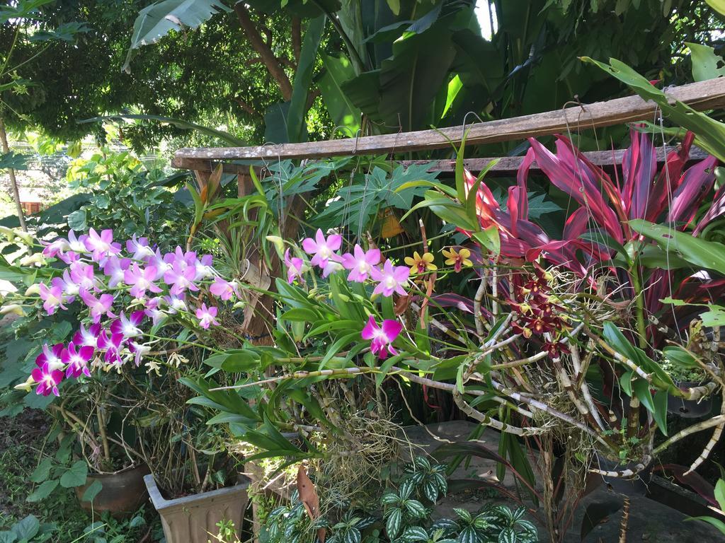 Ban Vivanh chambres d'hotes Luang Prabang Exterior foto